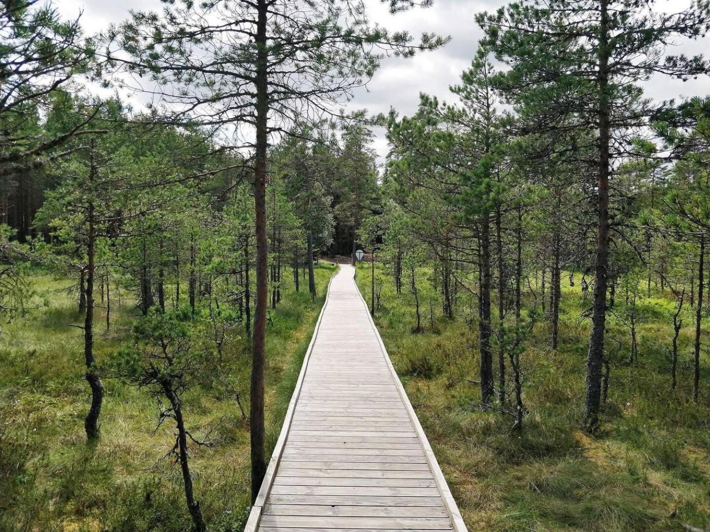 Norwegian Saunahouse Haapse Luaran gambar